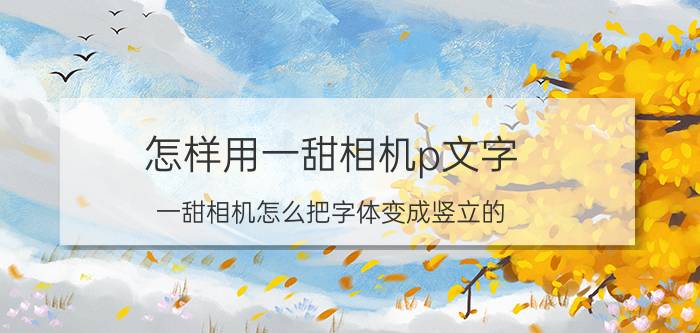 怎样用一甜相机p文字 一甜相机怎么把字体变成竖立的？